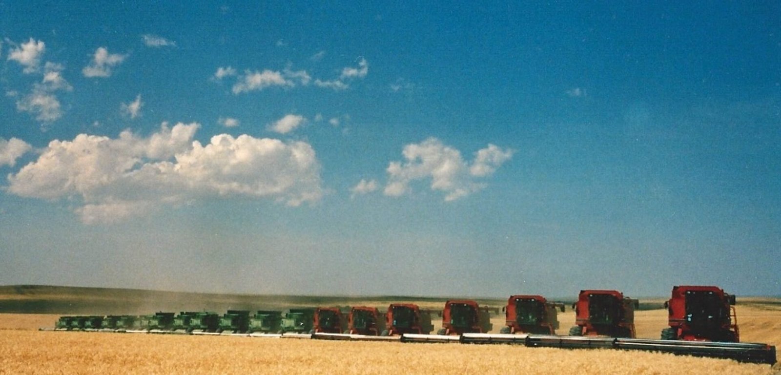 Imagem destacada - Produtor dos EUA relata ganhos ao adotar certificação regenerativa-orgânica na fazenda
