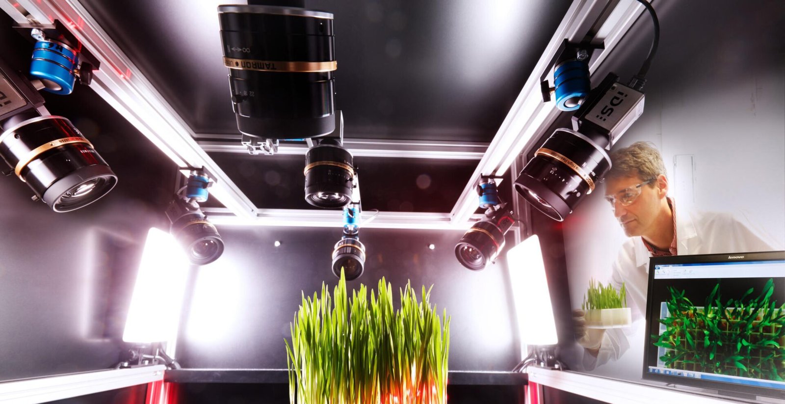 Imagem destacada - Revista retrata estudo chave que defendia segurança do glifosato 25 anos após publicação