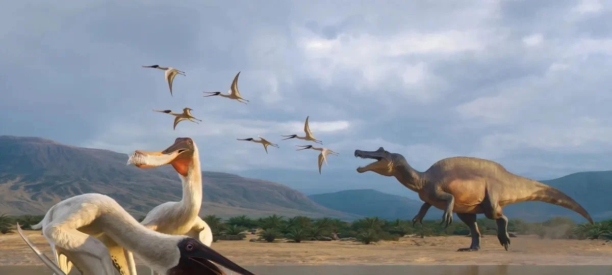 Imagem destacada - Vômito fossilizado revela Bakiribu waridza, primeiro pterossauro filtrador dos trópicos