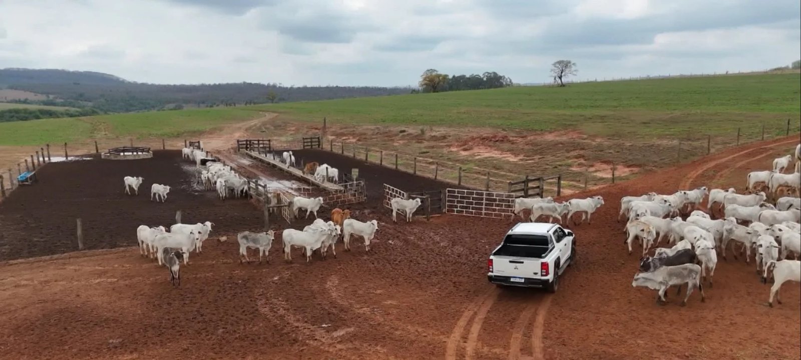 Imagem destacada - Família de Oriente (SP) transforma sonho em referência de carne premium
