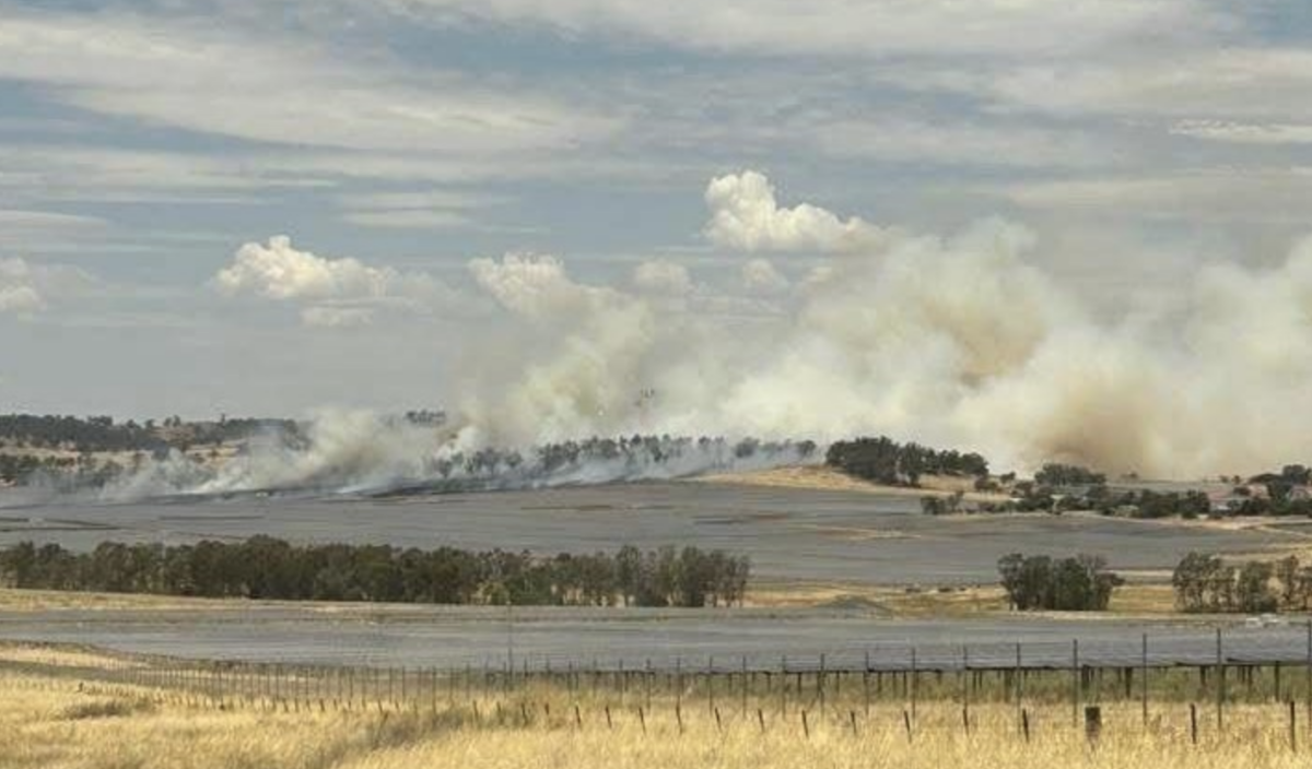 Imagem destacada - Incêndio reduz produção de usina solar de 400 MW em NSW