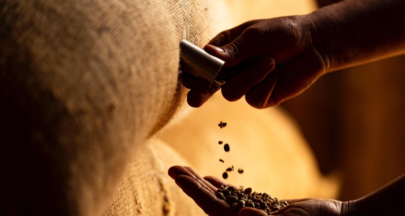 Imagem destacada - Defasagem portuária trava 681 mil sacas de café em outubro e provoca prejuízo de R$ 8,7 mi