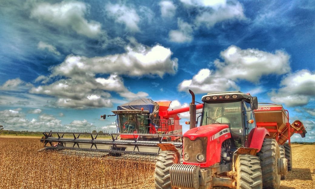 Imagem destacada - Soja em Rondônia deve ocupar 717,6 mil hectares na safra 2025/2026, aponta Embrapa