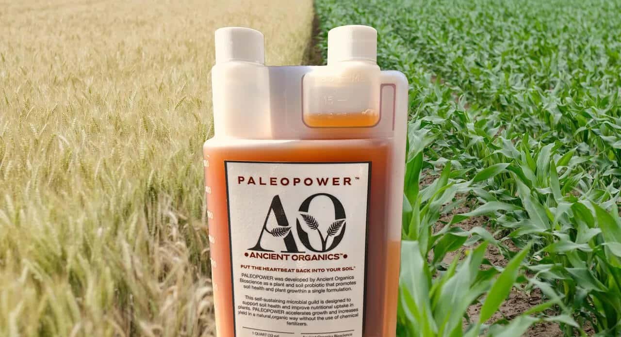 Imagem destacada - Produto microbiano que degrada glifosato ganha patente nos Estados Unidos