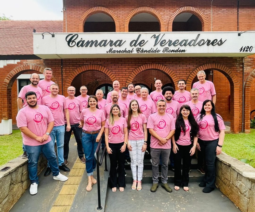 Vereadores e servidores com a camiseta da campanha