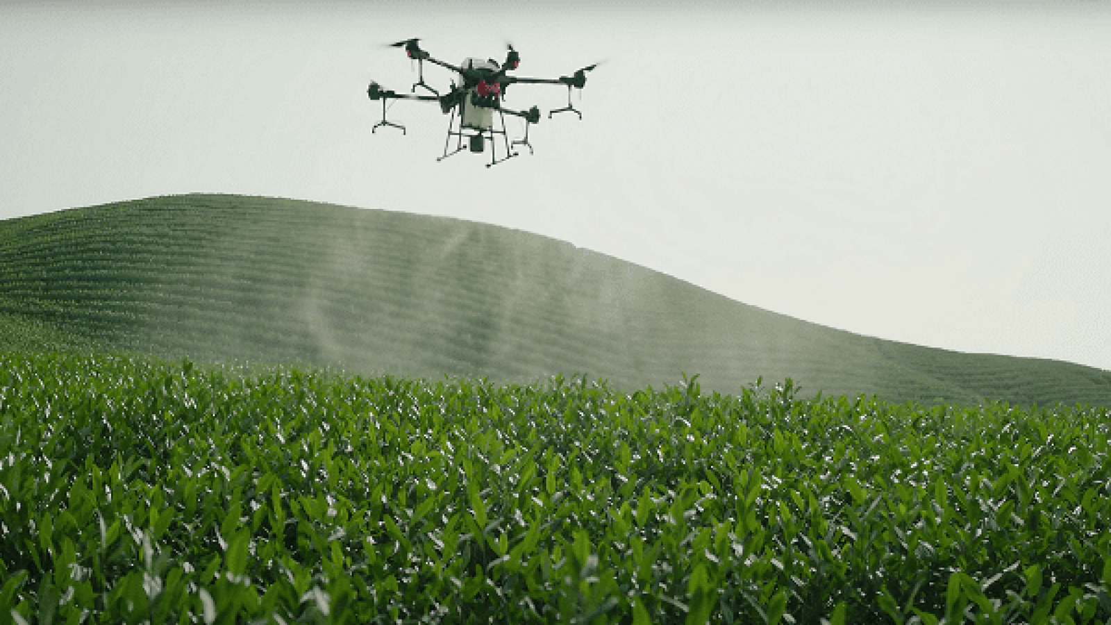 drone-pulverizador-agras-dji-t20_4_