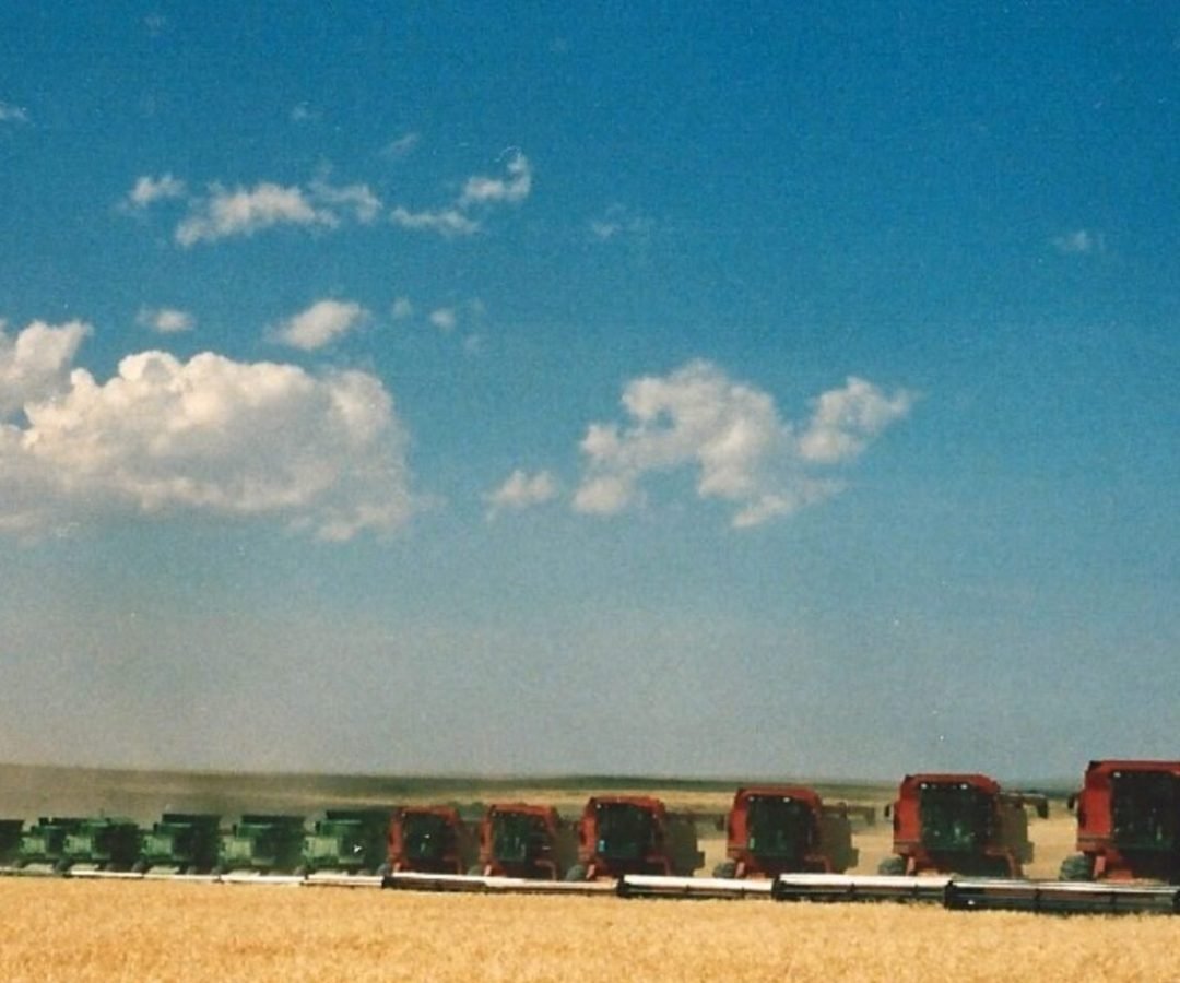 Imagem destacada - Produtor dos EUA relata ganhos ao adotar certificação regenerativa-orgânica na fazenda