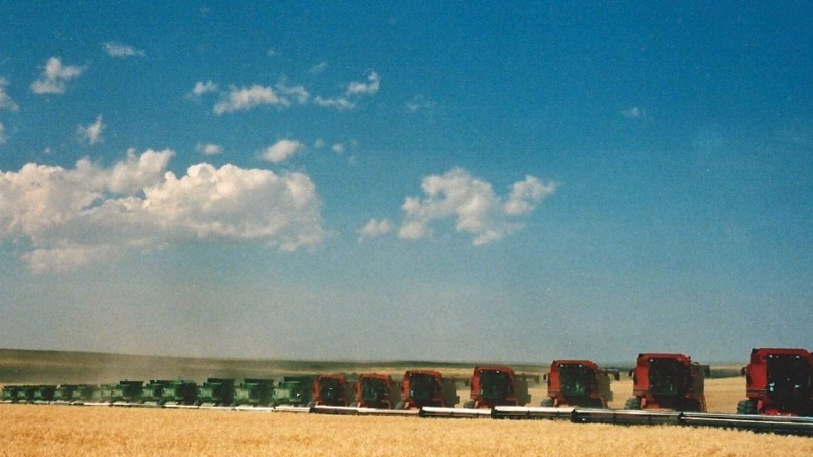 Imagem destacada - Produtor dos EUA relata ganhos ao adotar certificação regenerativa-orgânica na fazenda