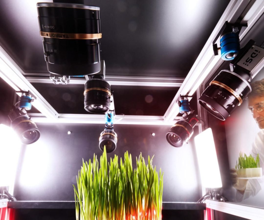 Imagem destacada - Revista retrata estudo chave que defendia segurança do glifosato 25 anos após publicação