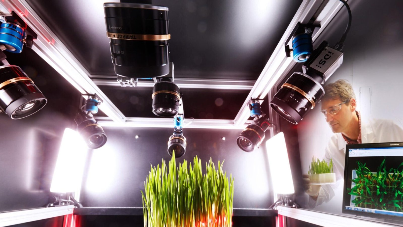 Imagem destacada - Revista retrata estudo chave que defendia segurança do glifosato 25 anos após publicação