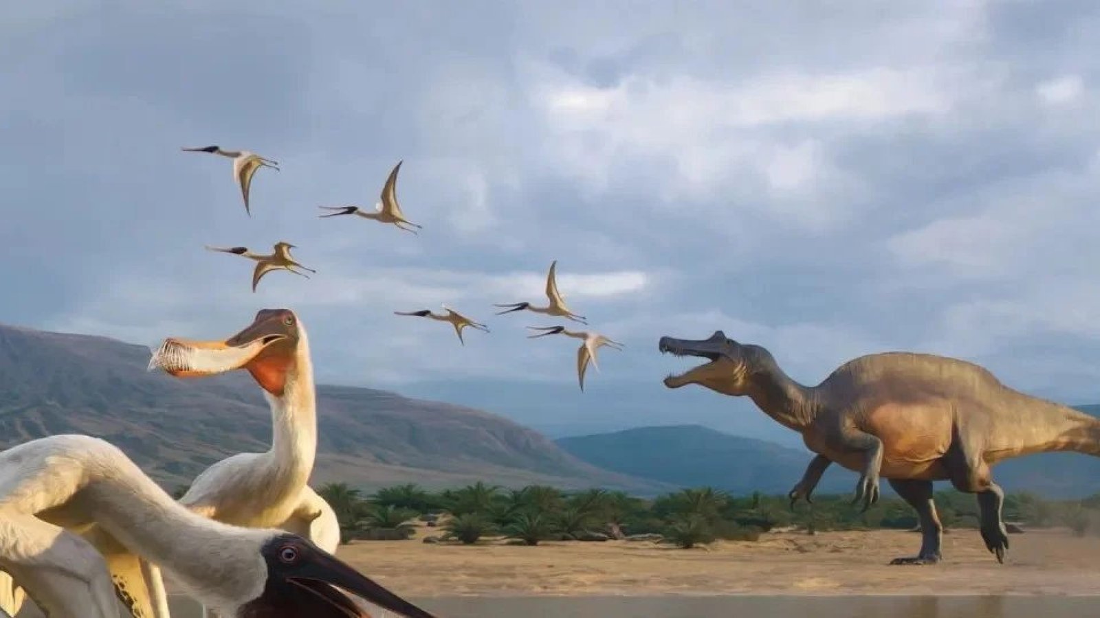 Imagem destacada - Vômito fossilizado revela Bakiribu waridza, primeiro pterossauro filtrador dos trópicos