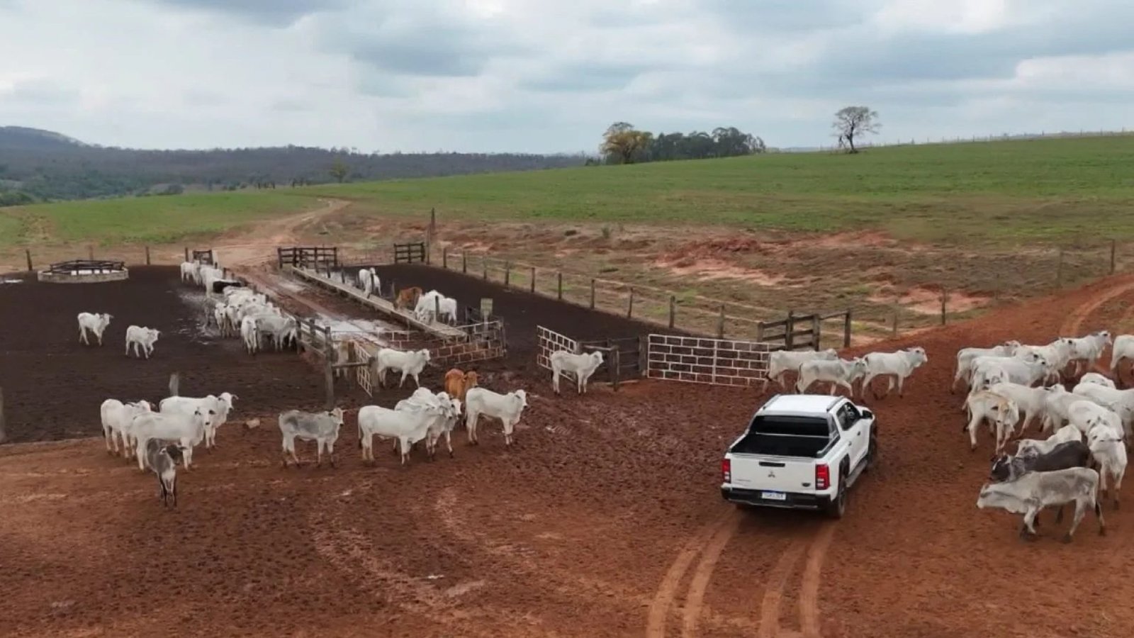 Imagem destacada - Família de Oriente (SP) transforma sonho em referência de carne premium