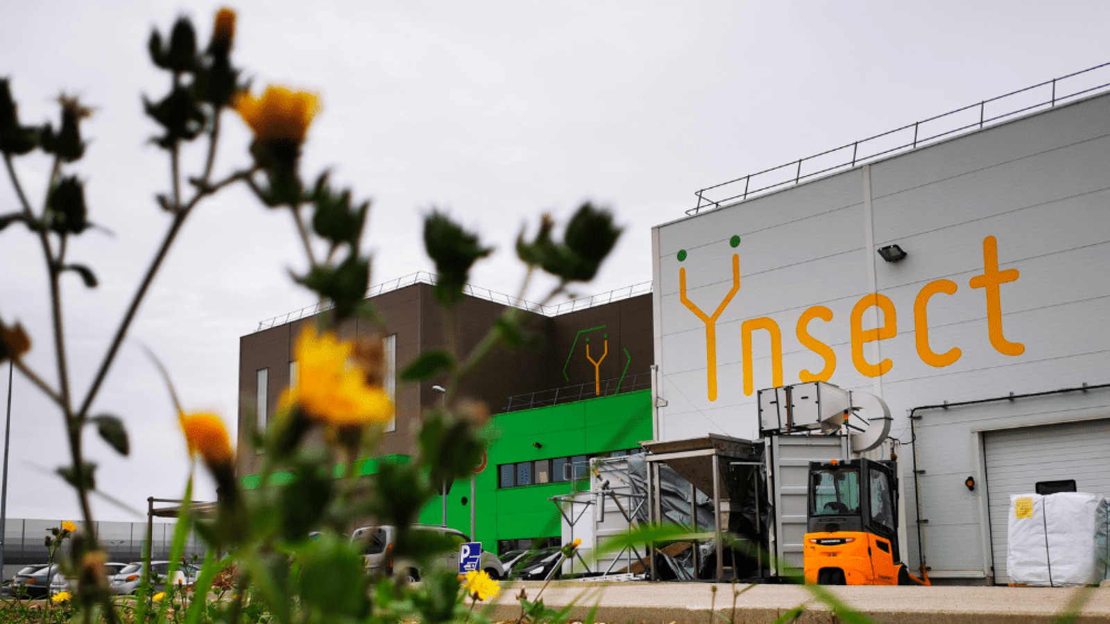 Imagem destacada - Justiça francesa decreta liquidação da Ÿnsect, pioneira na produção de proteína de insetos