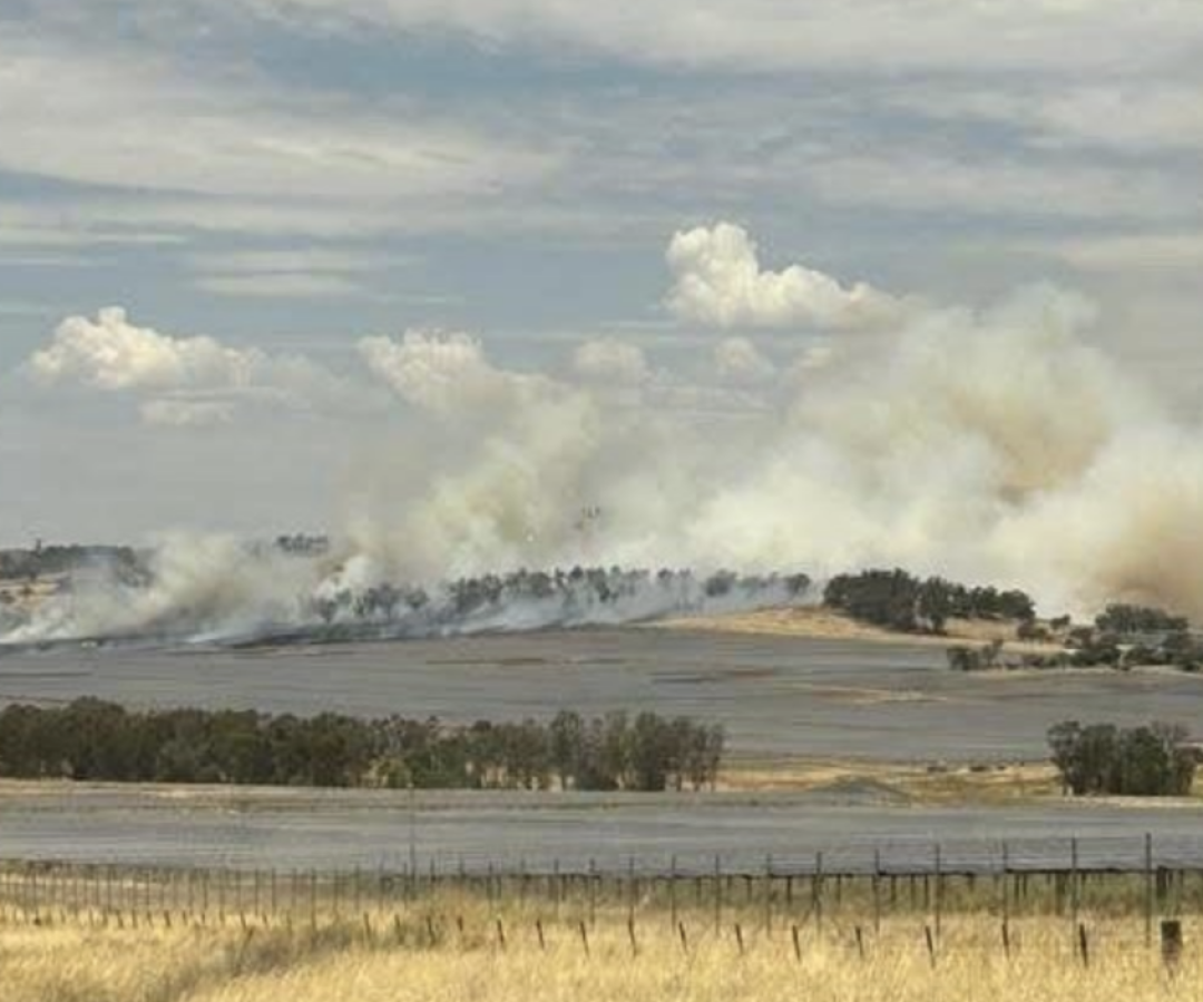 Imagem destacada - Incêndio reduz produção de usina solar de 400 MW em NSW