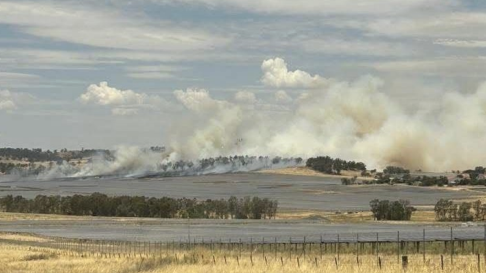 Imagem destacada - Incêndio reduz produção de usina solar de 400 MW em NSW