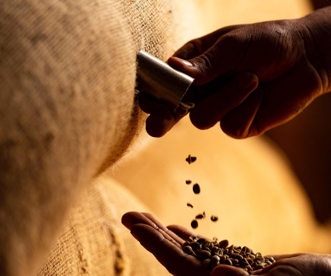 Imagem destacada - Defasagem portuária trava 681 mil sacas de café em outubro e provoca prejuízo de R$ 8,7 mi