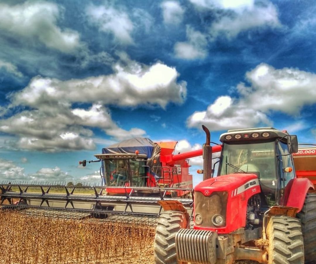 Imagem destacada - Soja em Rondônia deve ocupar 717,6 mil hectares na safra 2025/2026, aponta Embrapa