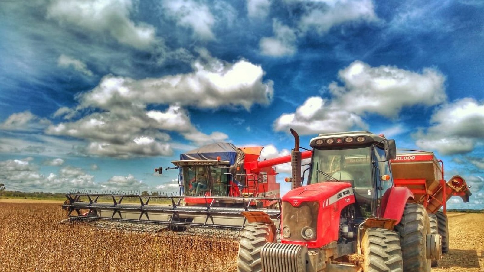 Imagem destacada - Soja em Rondônia deve ocupar 717,6 mil hectares na safra 2025/2026, aponta Embrapa