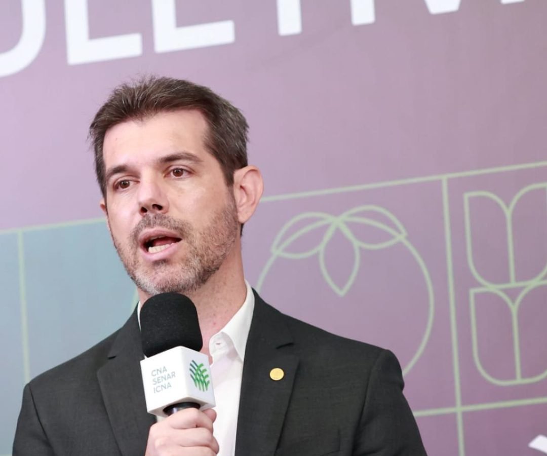 Imagem destacada - CNA alerta que recuperação judicial deve ser adotada só em último caso pelos produtores