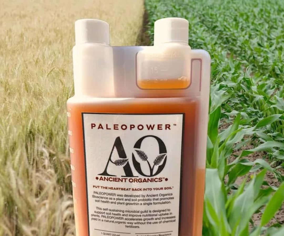 Imagem destacada - Produto microbiano que degrada glifosato ganha patente nos Estados Unidos