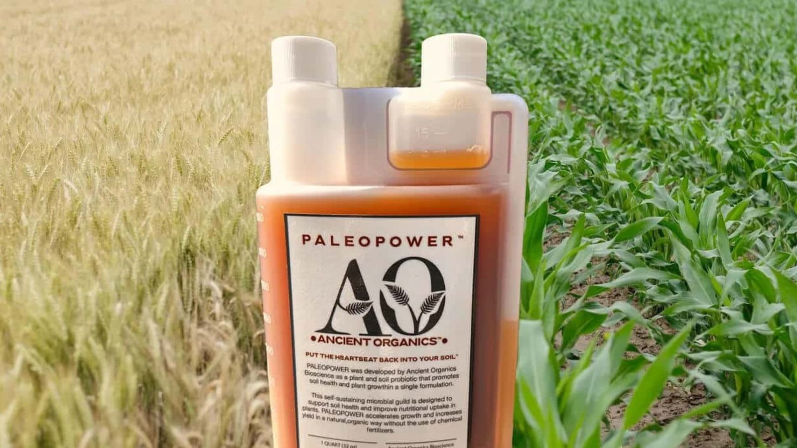 Imagem destacada - Produto microbiano que degrada glifosato ganha patente nos Estados Unidos